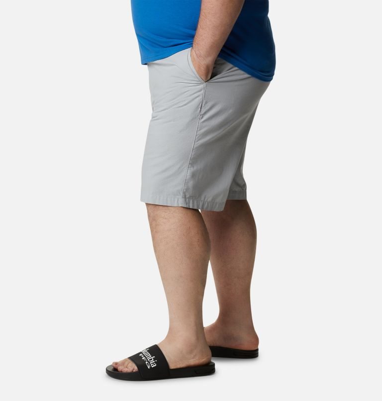 Men's Columbia PFG Bonehead II Shorts Light Grey | Plus Size CA-X0C3L